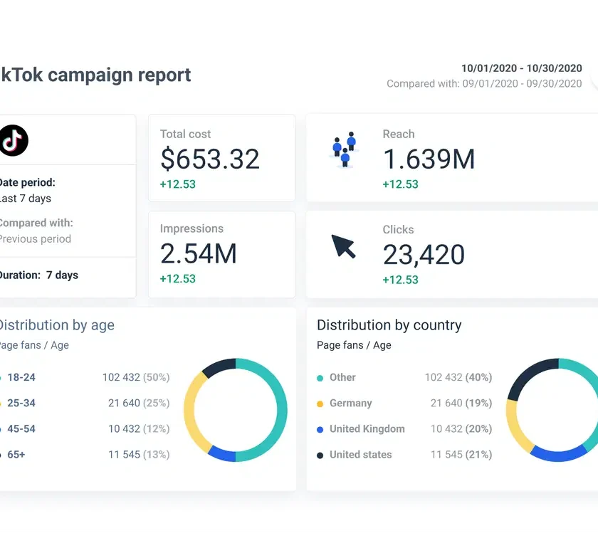 tiktok_campaign_report_e24db66bc8